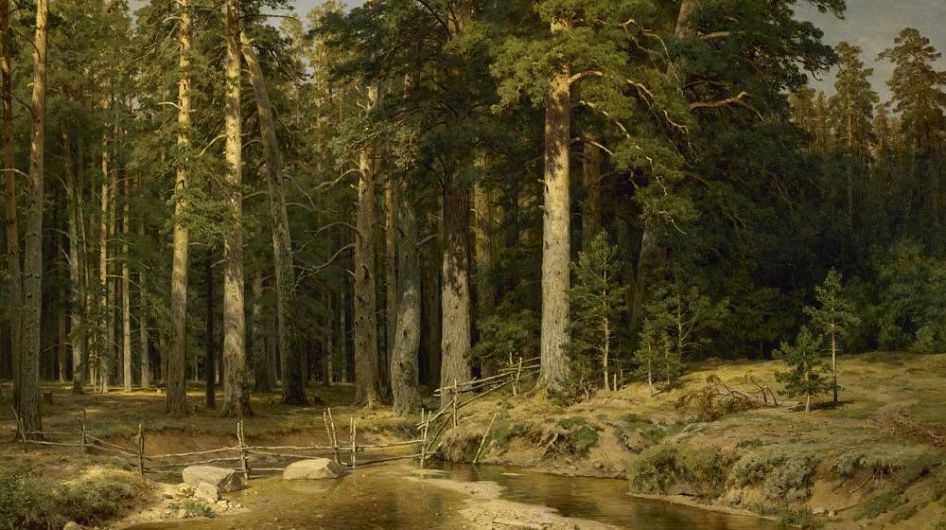 В Русском музее откроется масштабная выставка «Иван Шишкин. Русский лес»